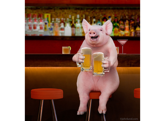 Beer-Drinking-Pig-At-Bar-e1427724399782 - EightyOne