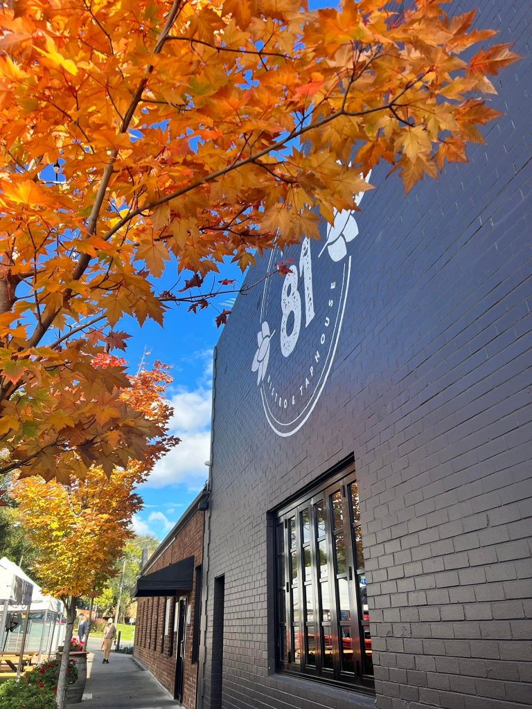 eightyone-restaurant-berwick-bar-berwick